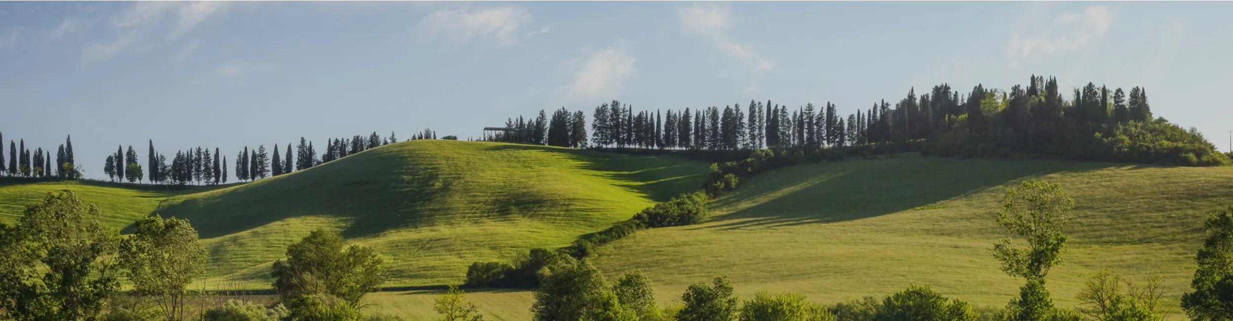 Memorial background